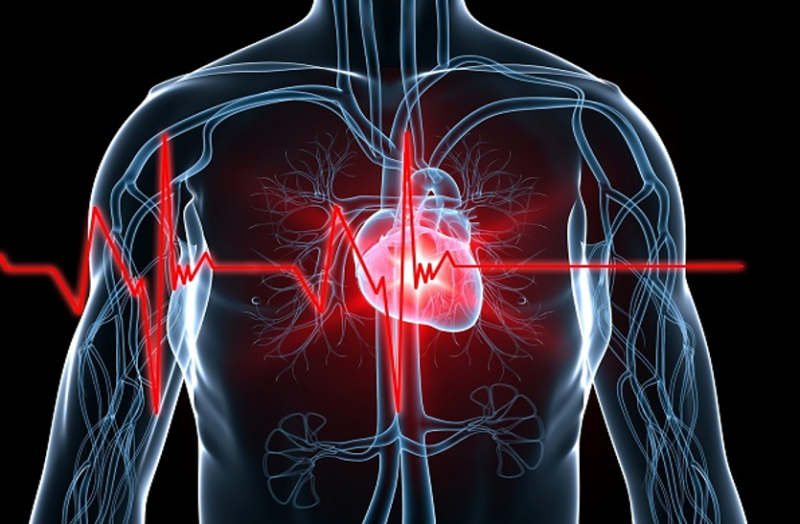 हृदय से जुड़ी सभी समस्याएं हृदयाघात नहीं हो सकती, जानें इनके बारे में