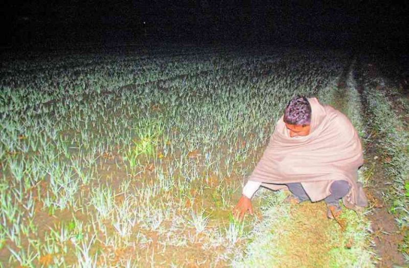 Ajmer Discom : प्रदेश में खून जमा देने वाली सर्दी में किसानों के लग रहा करंट