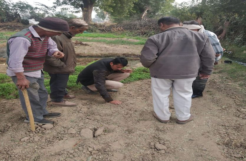 शहर के नजदीक पैंथर की दस्तक से दहशत