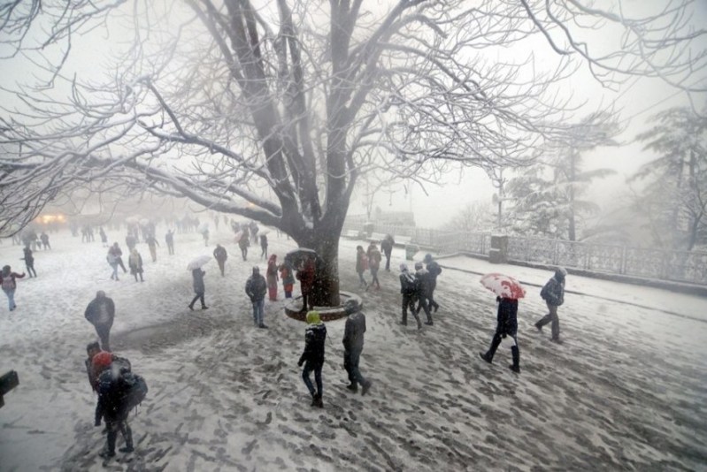 shimla-snow