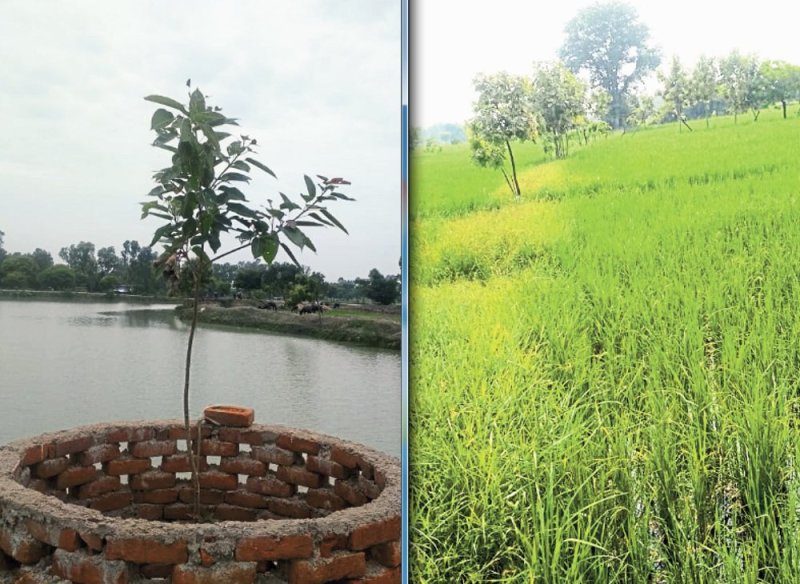 Unique use of water conservation on UP-MP border Jakhani village