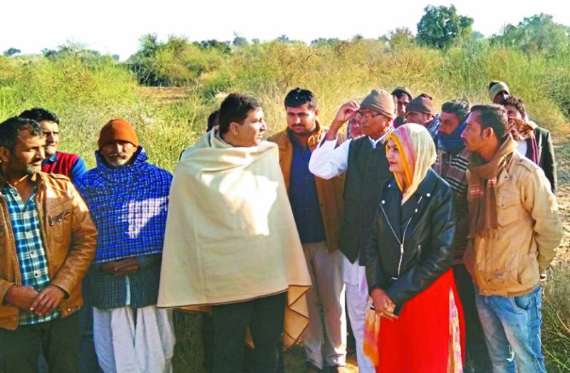 Revenue minister inspects loss from locusts