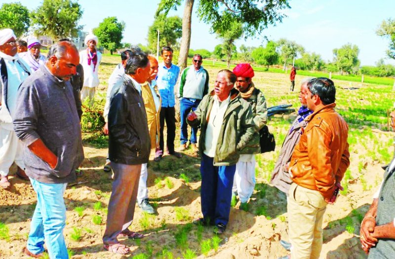 deceased farmer was in debt, scared to see locusts