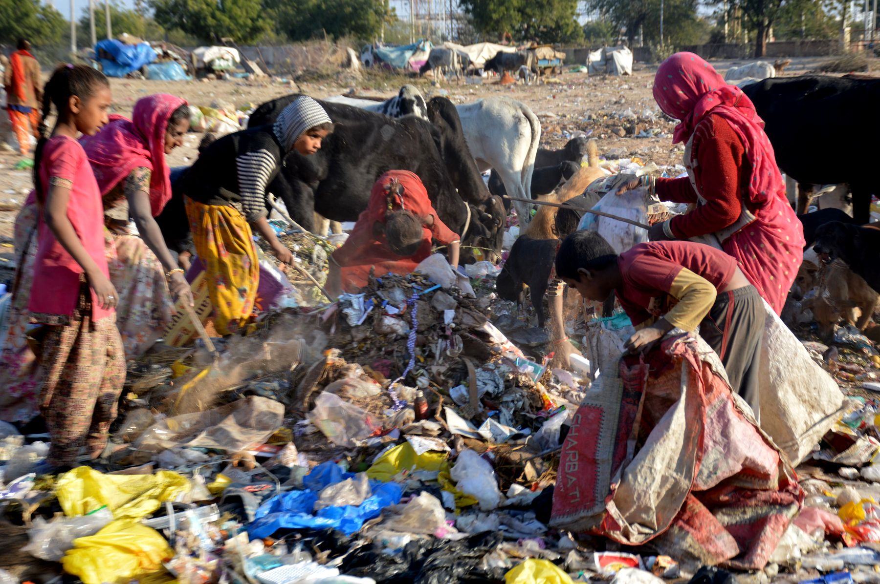 garbage in Nagaur