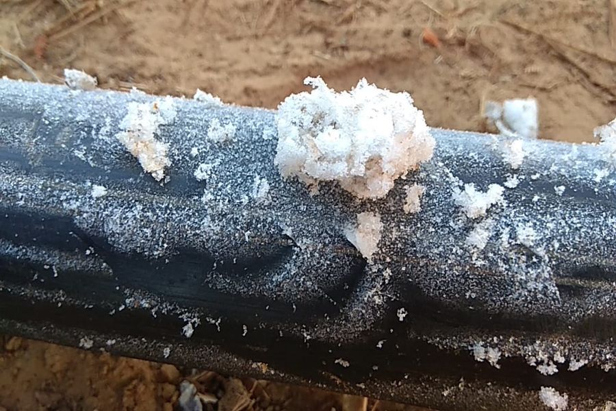 तापमान का पारा गिरा, पाले से रबी की फसलों को नुकसान