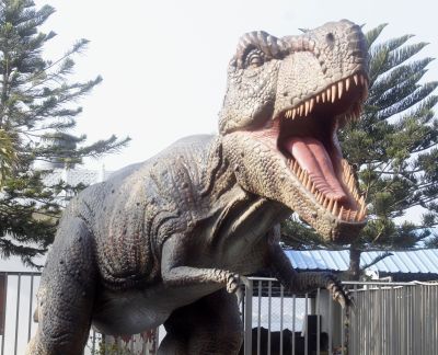 Dinosaur Video: आनासागर झील पर बने टापू पर जा पहुंचा डायनासोर... आप भी देखिए वीडियो