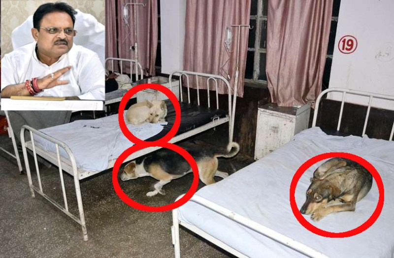 After Kota, In Question Gehlot Government Hospital in Bharatpur