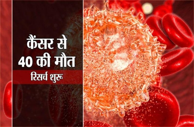 cancer research and treatment medical college