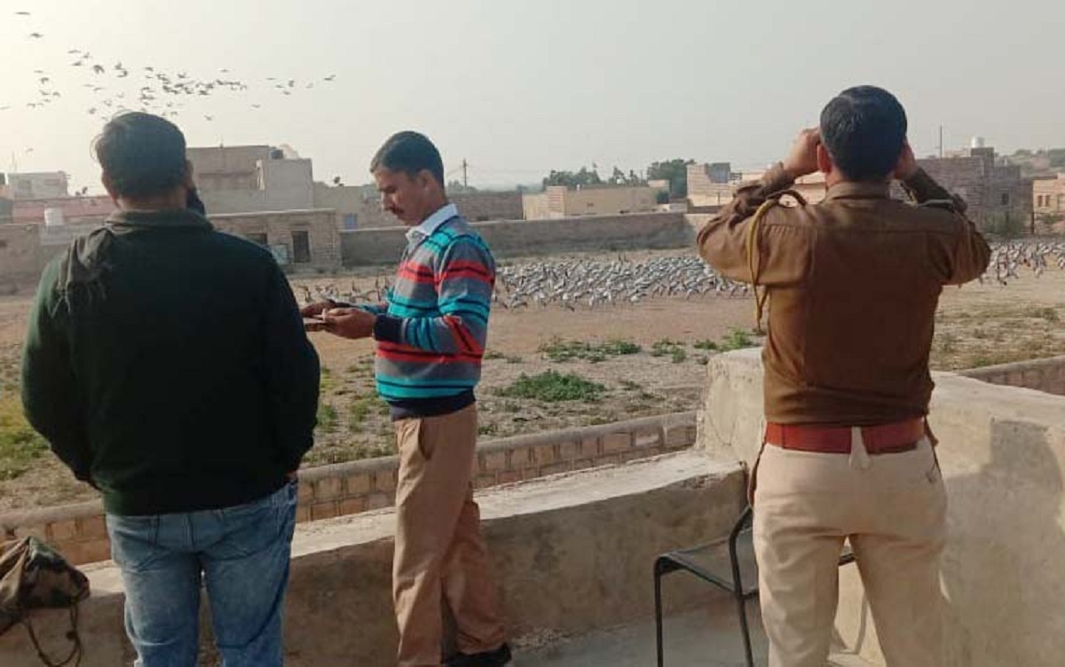 फलोदी. वन्यजीव विभाग व पक्षी विशेषज्ञों ने की प्रवासी पक्षियों की गणना