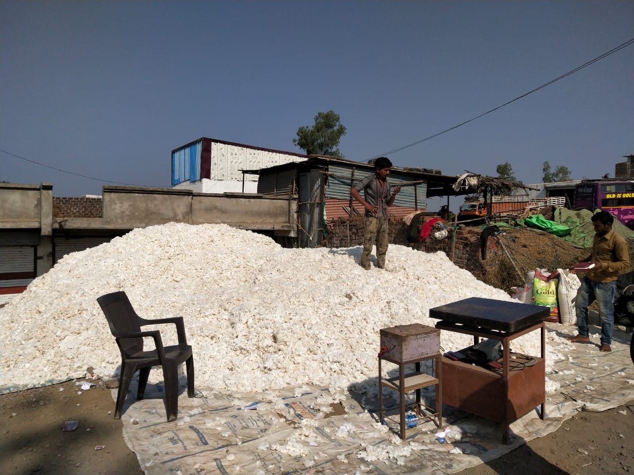 रायपुरिया के हाट-बाजार में दो महीने के बाद आया कपास