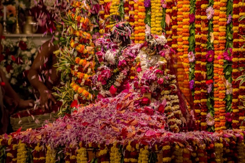 श्रीकृष्ण पुष्य अभिषेक उत्सव मनाया