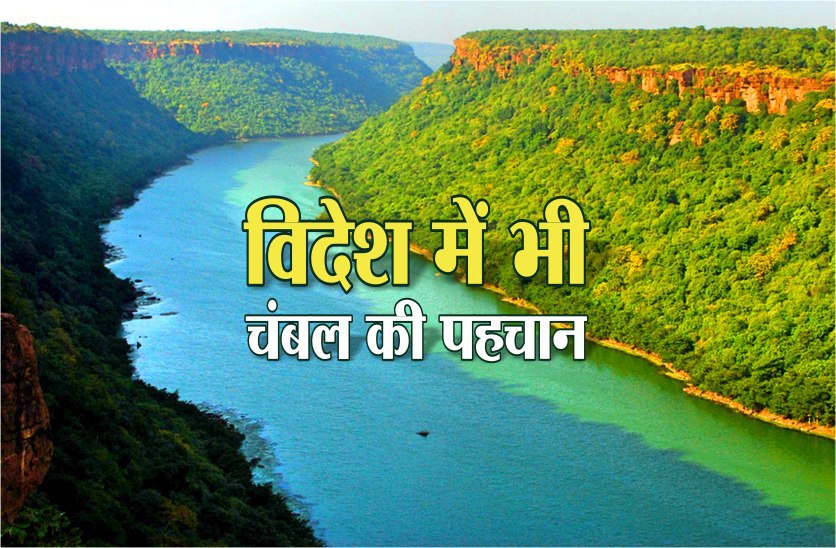 gajak of morena Gajak Recipespecial story