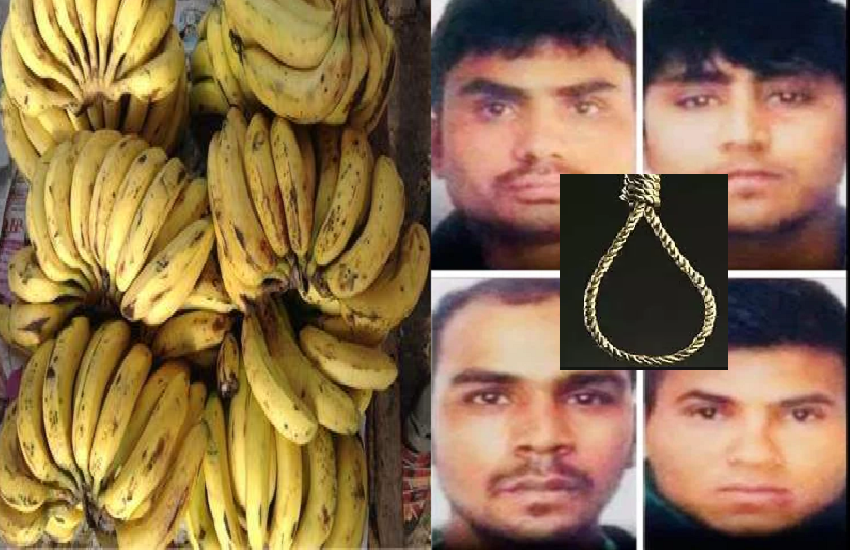 Banana and butter are being used to keep the hanging noose soft
