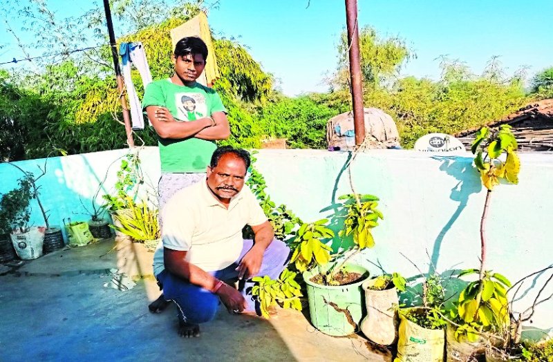 घर की छत पर बनाया गार्डन और उगा दिए 40 प्रकार के दुर्लभ प्रजाति के औषधीय पौधे