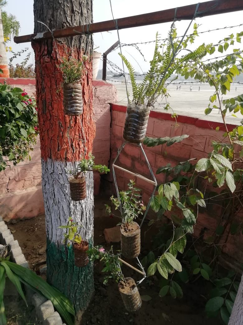 Plants in plastic bottles