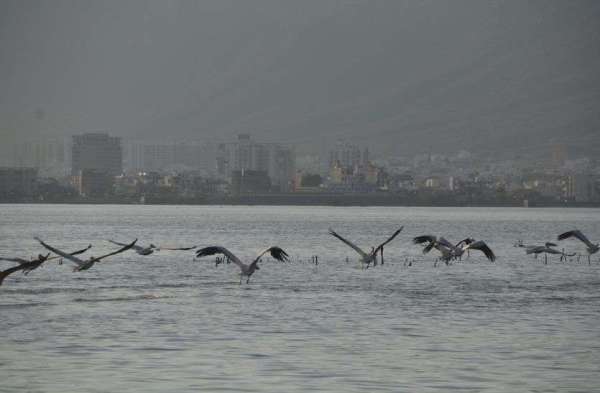 Patrika Bird Fair 2020 : लो हम आ गए हैं बर्ड फेयर के लिए.....