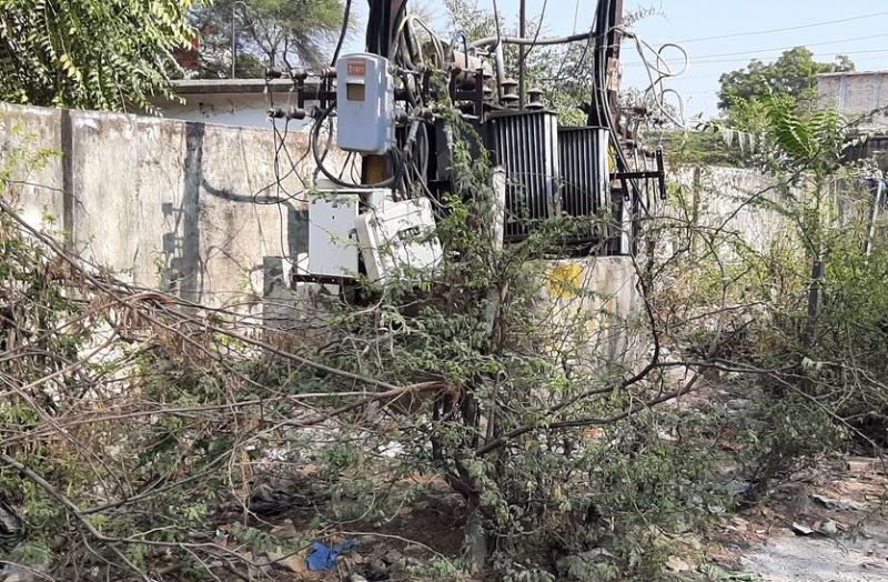 यहां झाडिय़ों की बनी है सुरक्षा दीवार