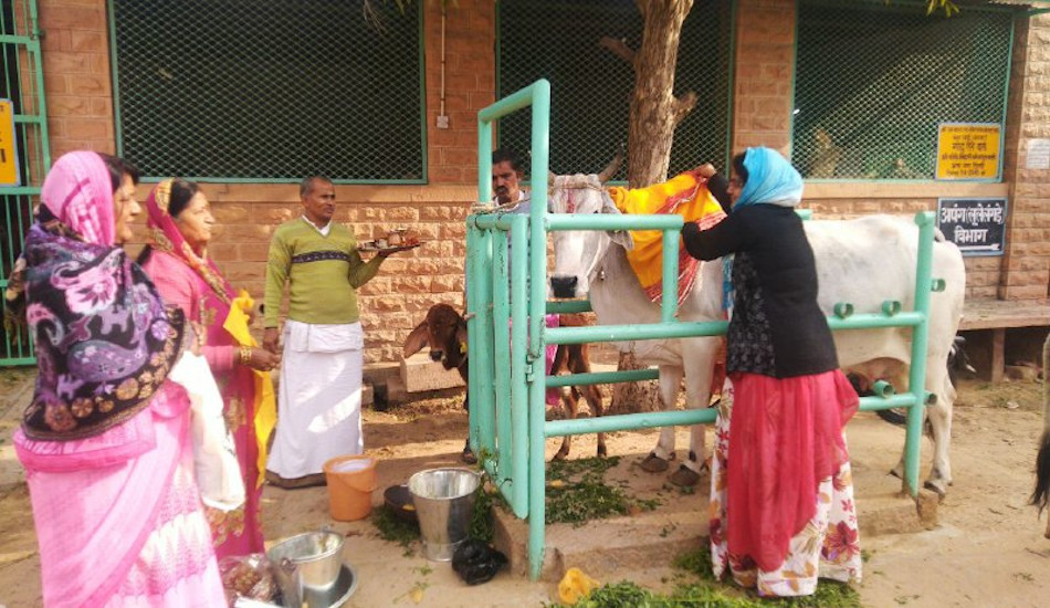 makar sankranti-- सूर्योदय से सूर्यास्त तक चला दान पुण्य का दौर