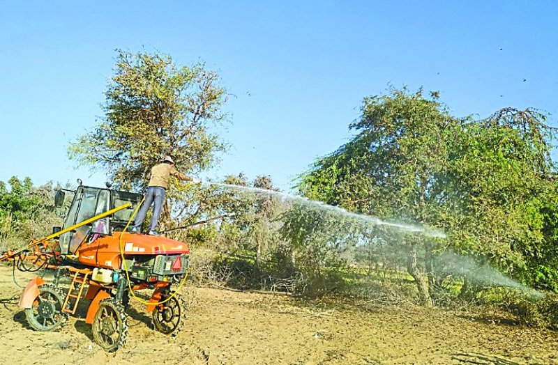 Minister and District Collector took stock of affected area