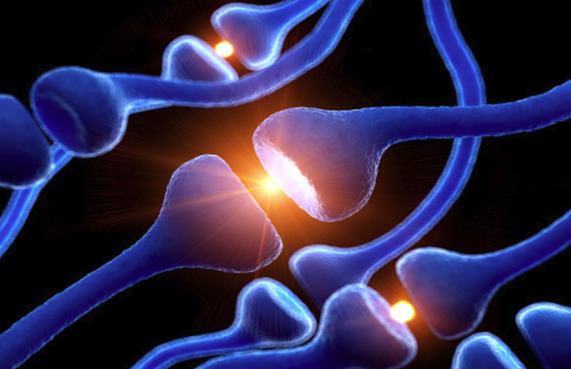 Nerves Recovery Naturally