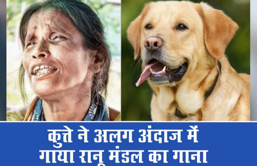 कुत्ते ने गाया रानू मंडल का गाना, शख्स ने हिमेश बन दी ट्रेनिंग