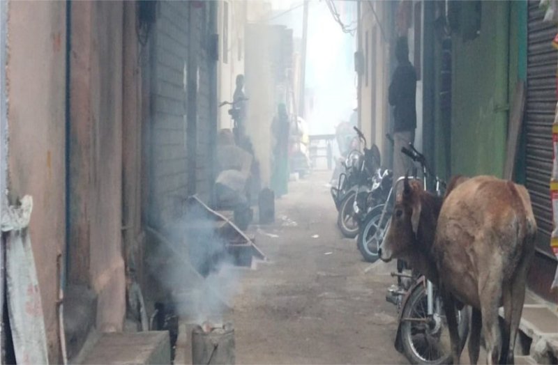 Poison dissolved in the fija due to the stolen coal, the sigdi is covered in the evening, the furnace smoke sheet