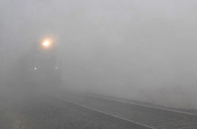 मौसम ने खाया पलटा, शीतलहर से छूटी धूजणी, छाया कोहरा