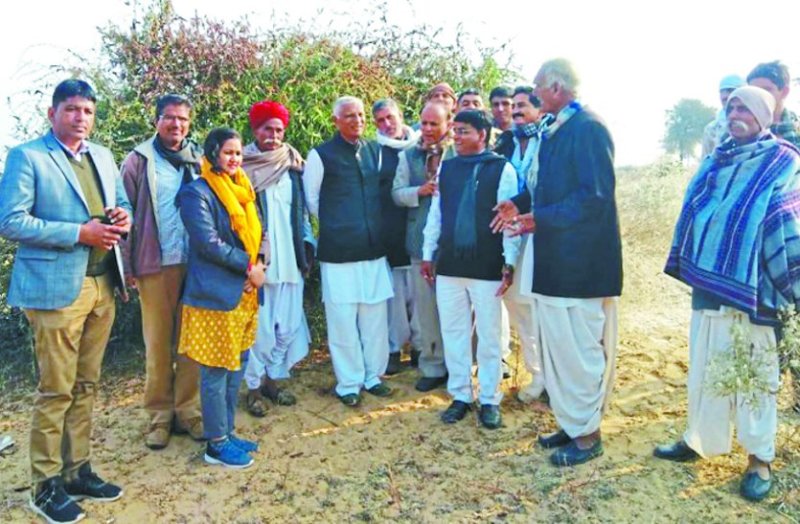 MLA took stock of locust affected areas