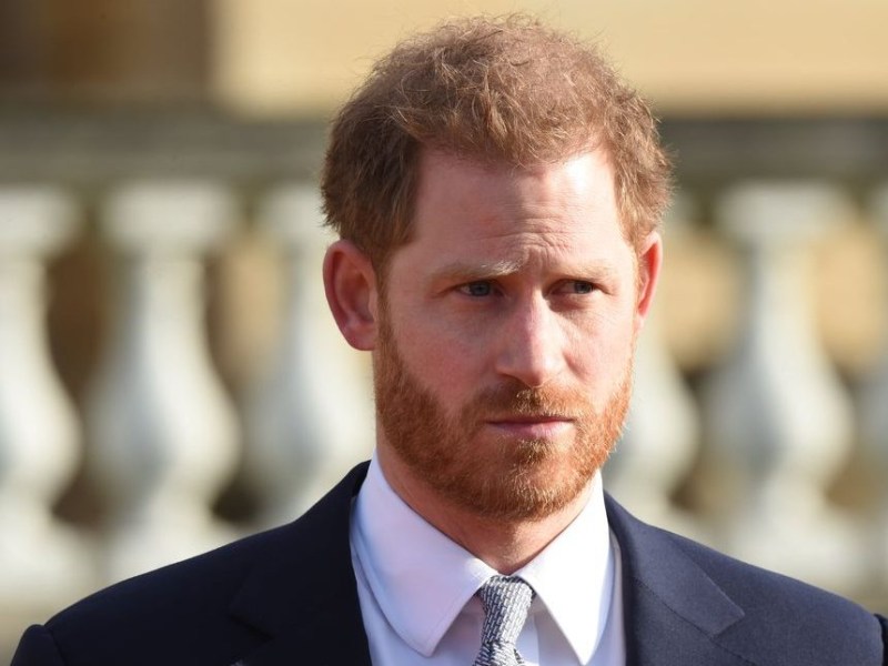 Prince Harry Gets Job Offer