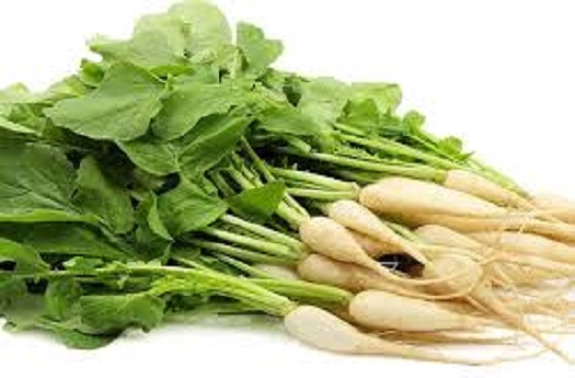 radish health benefits winter, radish health benefits