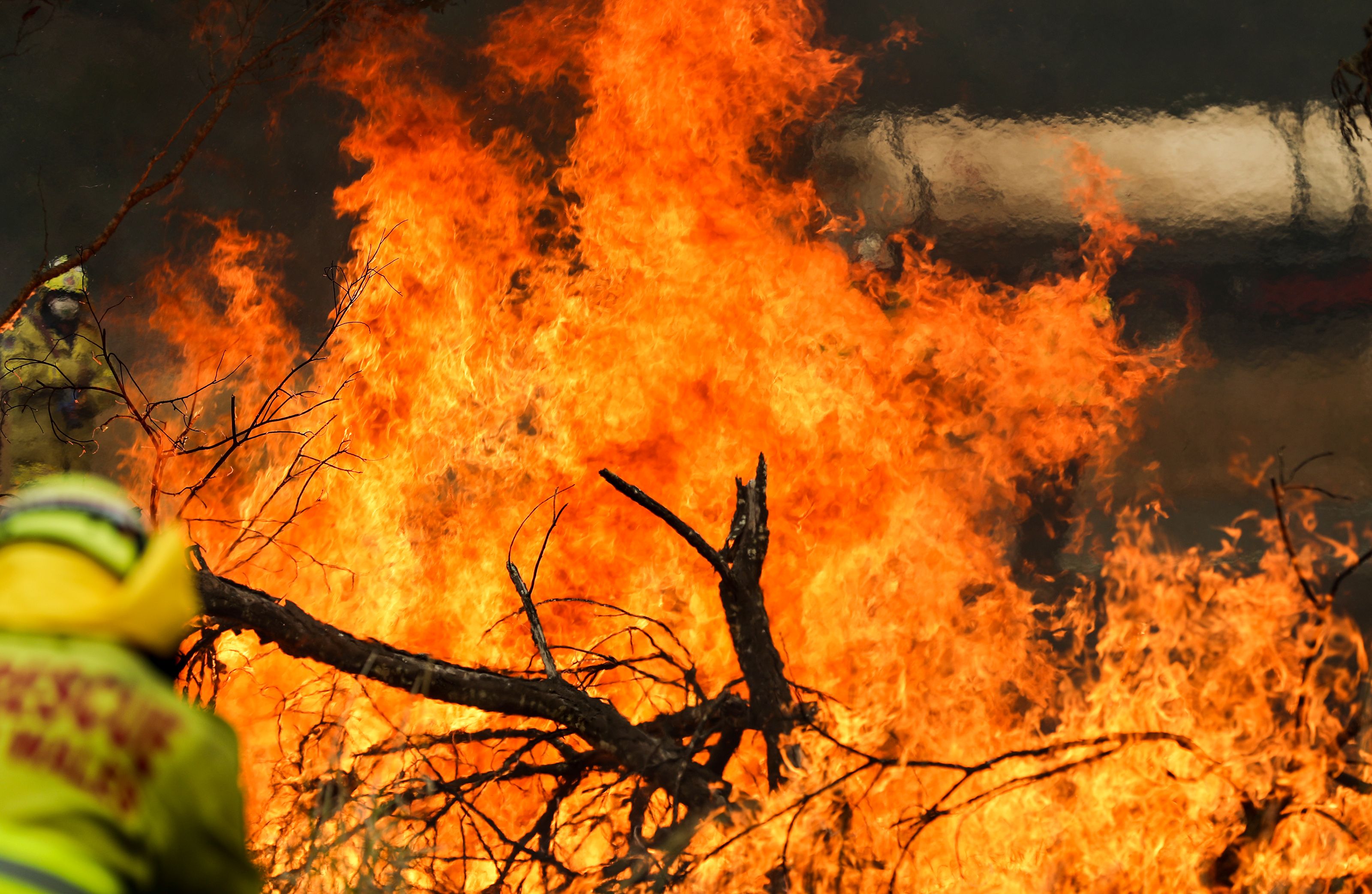 Australia Forest Fire : ऑस्ट्रेलिया : जंगल में आग से मृतकों की संख्या 29 हुई