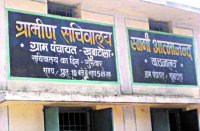  Panchayat elections will not be held in village Khubatola and Motipur