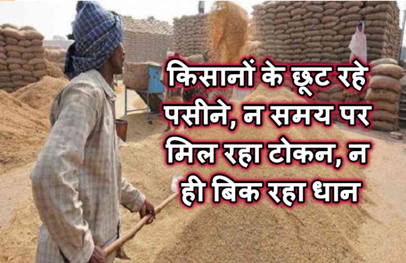 धान बेचने में किसानों के छूट रहे पसीने, 47 दिन बाद भी नहीं हुआ बिके धान का भुगतान