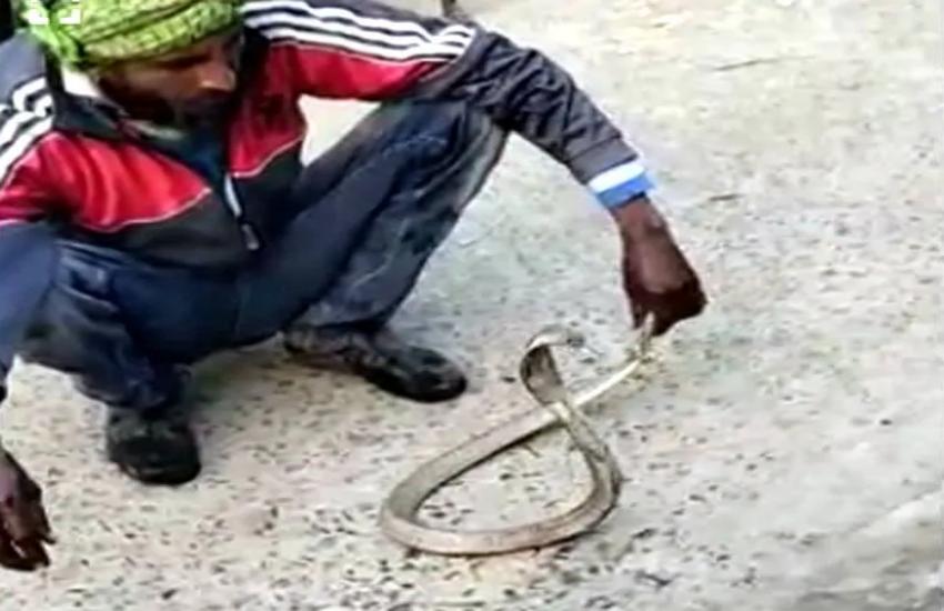 Playing with Snake
