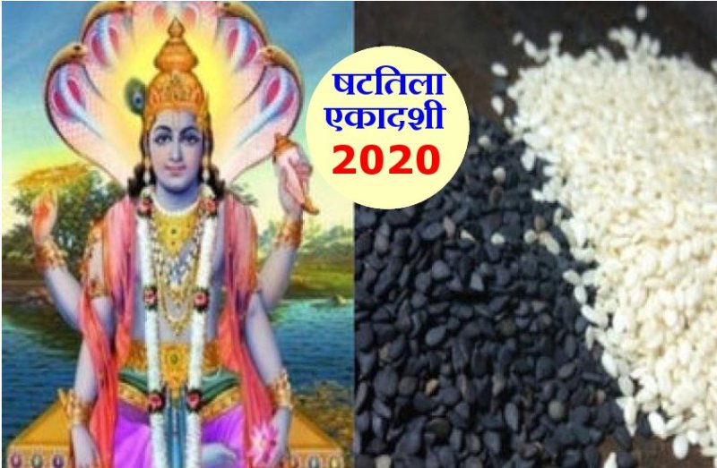 षटतिला एकादशी व्रत पूजा विधि