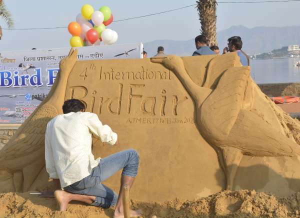 patrika bird fair : बालू रेत पर प्रवासी परिन्दे उकेर पक्षियों के संरक्षण की अपील