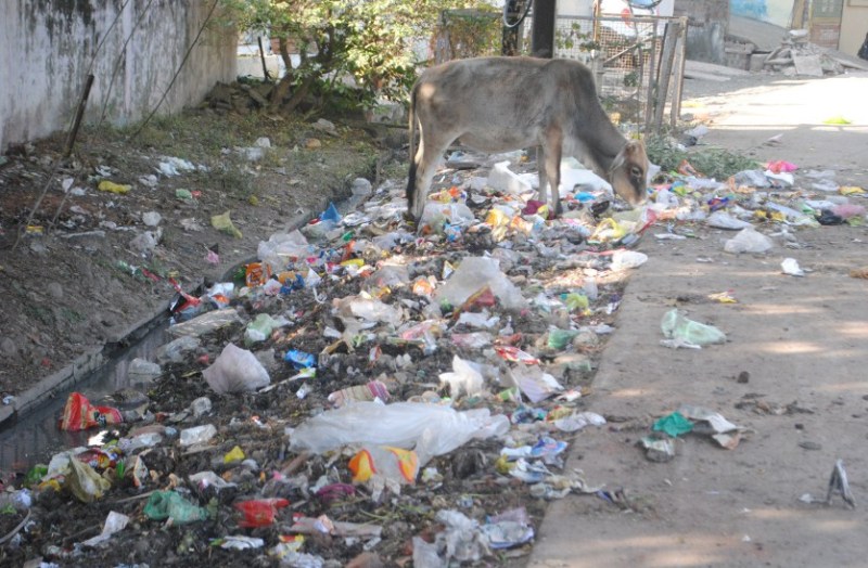 Teams can be surveyed before Republic Day, garbage piles in the city