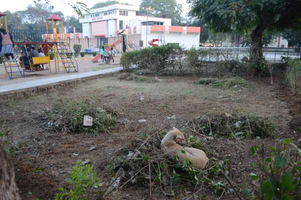 बाल भवन का बदहाल पार्क