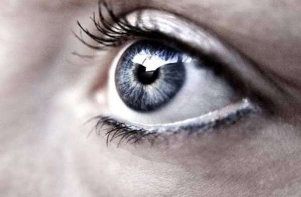 Free eye checkup of hundreds of patients in medical eye camp