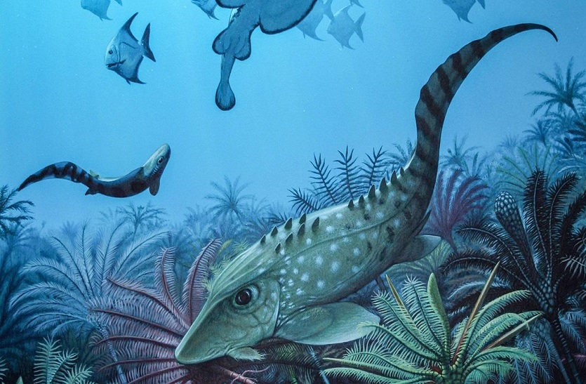 3.6  करोड़ साल बाद जीवित हो रहे समुद्री जीव