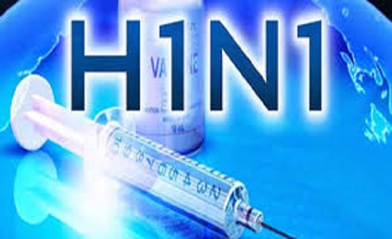 Swine flu,Health news,Dengue,SMS