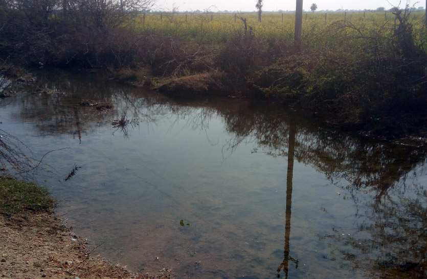 अनदेखी में बह रहा व्यर्थ पानी, बीसलपुर ग्रामीण जलापूति लाइन में रिसाव से गड्ढे बने तलैया