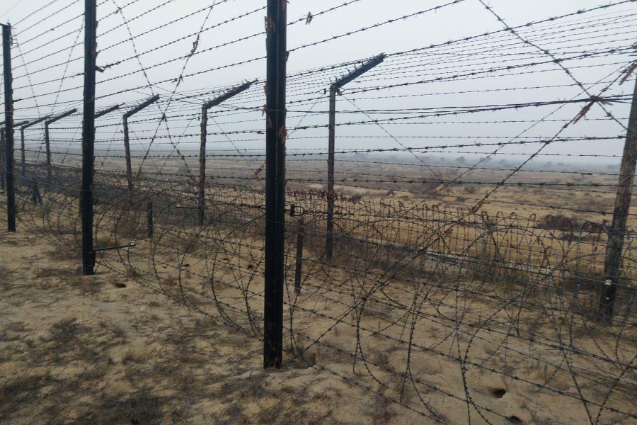 locust attack at indo pak border has increased food crisis in world