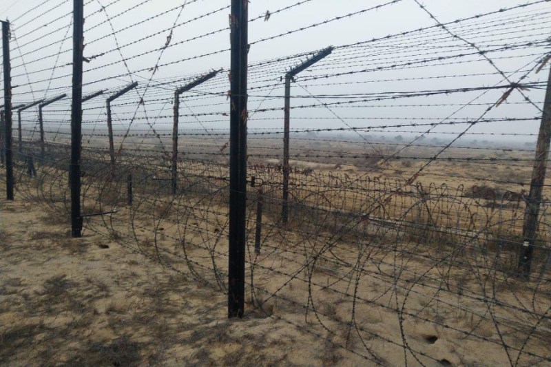 locust attack at indo pak border has increased food crisis in world