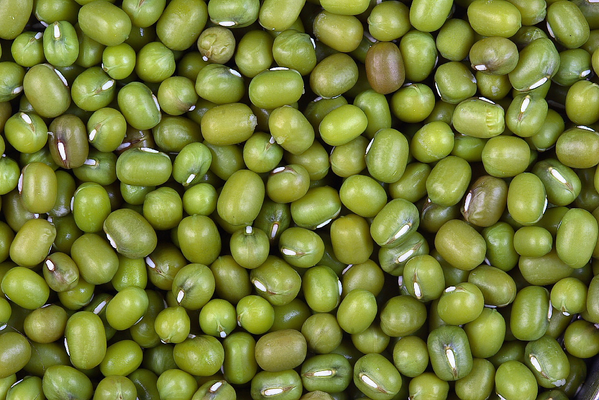 प्रदेश में बिक गई 16 सौं करोड़ की मूंग-मूंगफली