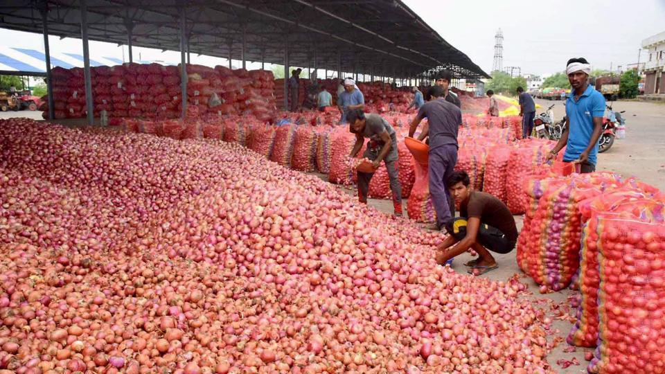 Onion Production