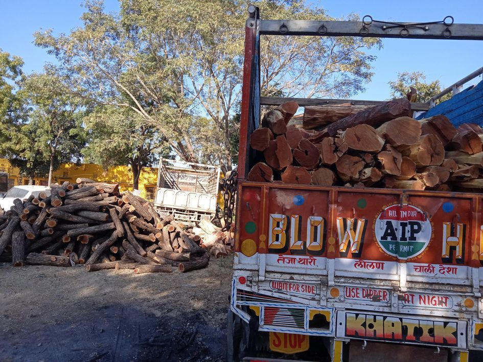 24 tons of wood recovered from Kher