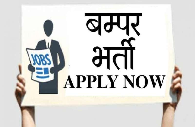 Govt Jobs: विभिन्न विभागों में निकली हजारों बम्पर सरकारी नौकरियां, फटाफट करें अप्लाई