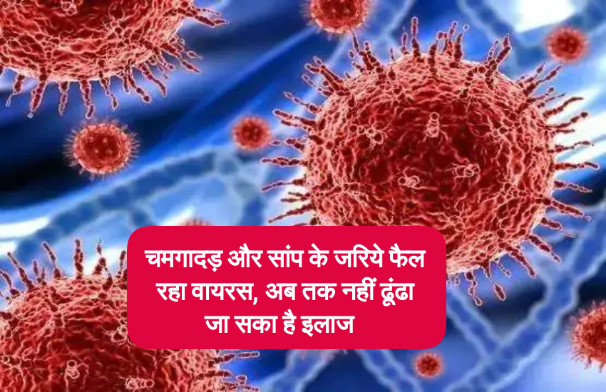 खतरनाक कोरोना वायरस ने पडोसी राज्यों में दी दस्तक,  10 से ज्यादा देश में फैल चुका है संक्रमण
