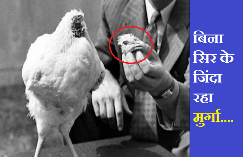 He was alive for 18 months even after cutting the cock head in america